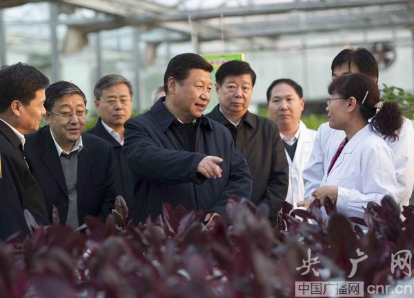 习近平强调促进农民增加收入 推进新农村建设
